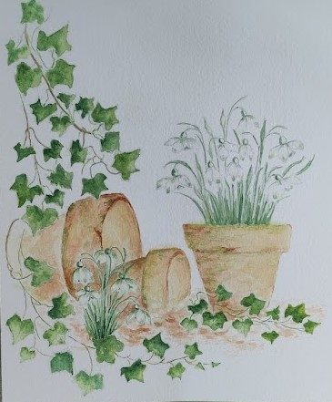 Janet R, Snowdrops, watercolour.
